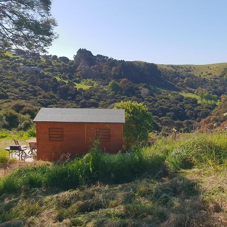 פאלם ביץ' Wild Days Accommodation מראה חיצוני תמונה