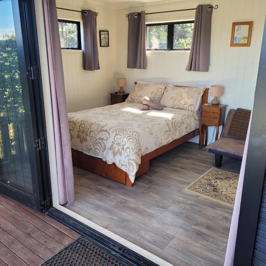 פאלם ביץ' Wild Days Accommodation מראה חיצוני תמונה