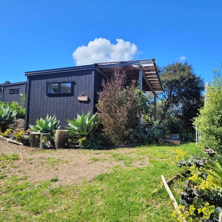 פאלם ביץ' Wild Days Accommodation מראה חיצוני תמונה