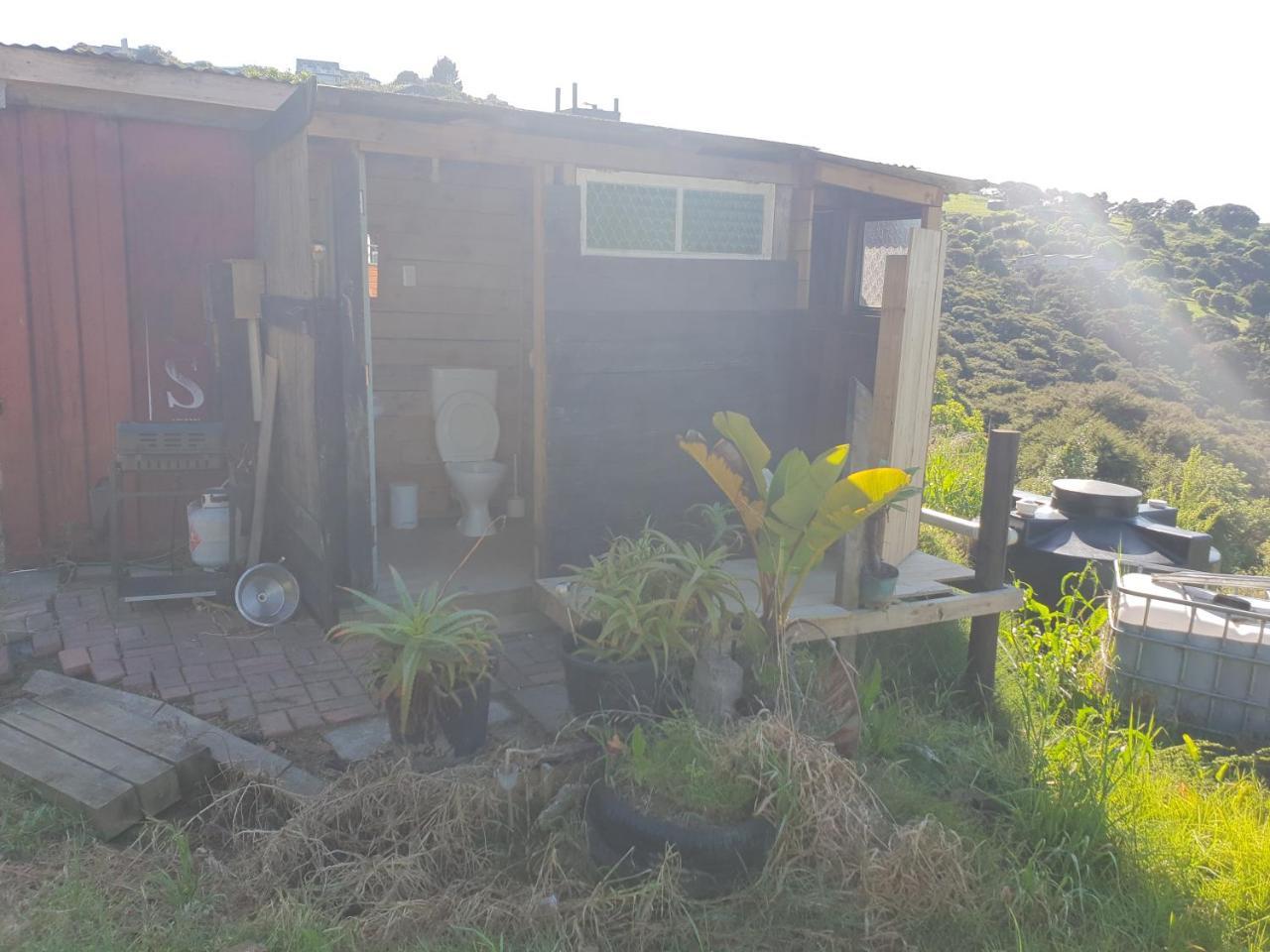 פאלם ביץ' Wild Days Accommodation מראה חיצוני תמונה