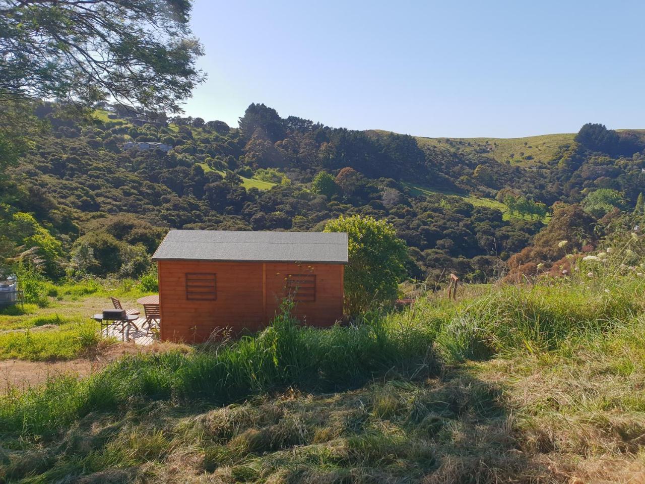 פאלם ביץ' Wild Days Accommodation מראה חיצוני תמונה