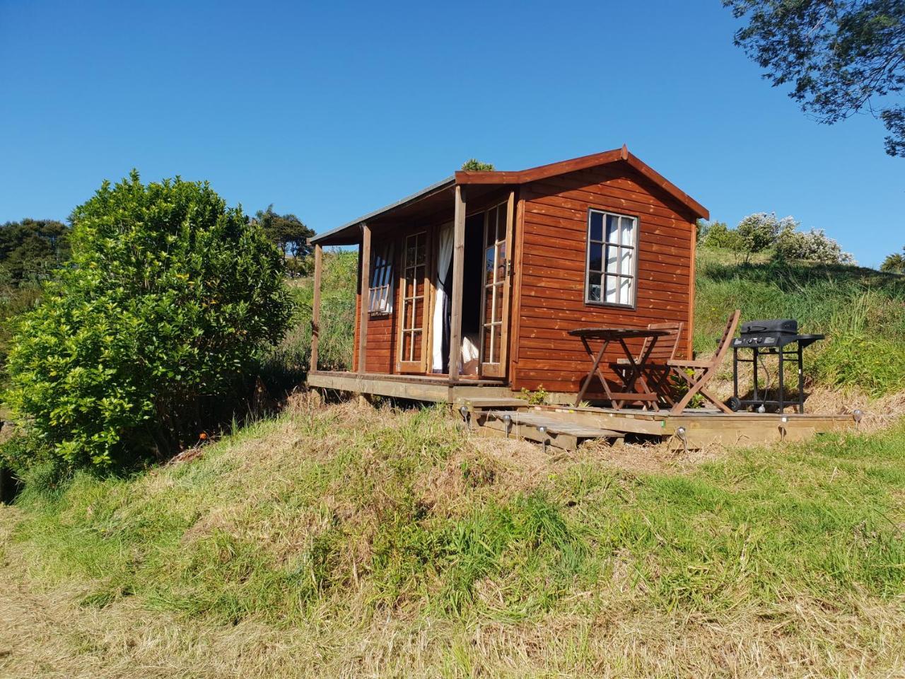 פאלם ביץ' Wild Days Accommodation מראה חיצוני תמונה